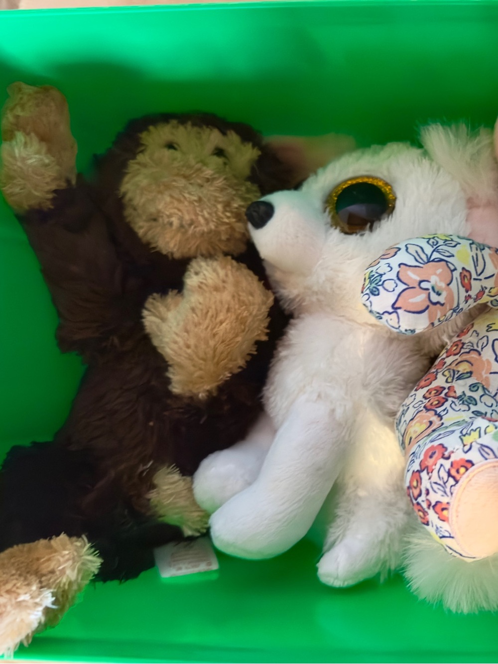Stuffed animals